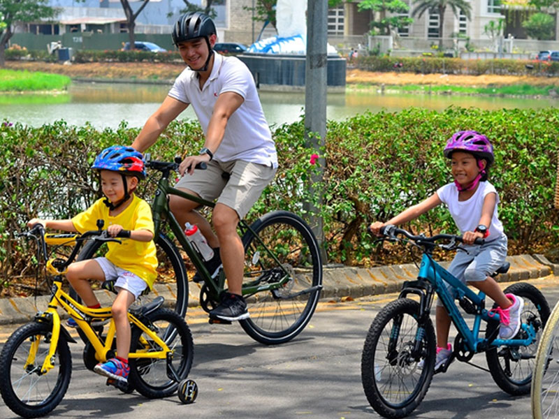 Bicycles-image