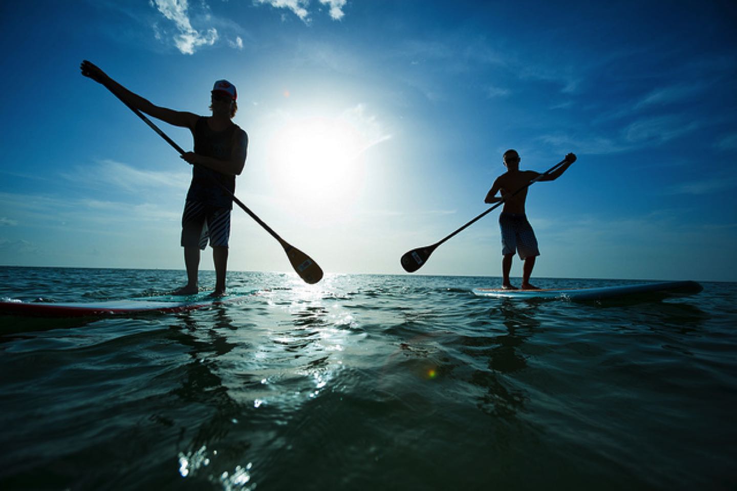 Sports & Outdoors-image